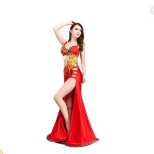 NWT Royal Seemla Phoneix Design Belly Dance Dress Size S